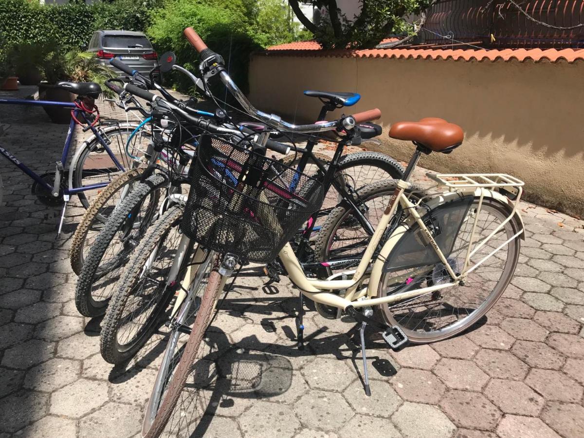 Lola Apartmani Rovinj Zewnętrze zdjęcie